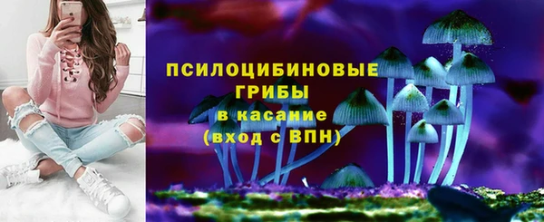 молекула духа Покровск