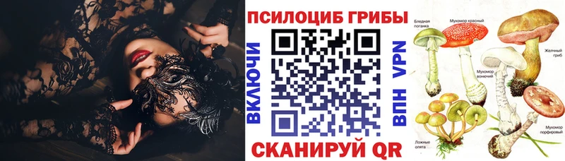 Галлюциногенные грибы ЛСД где купить наркоту Льгов